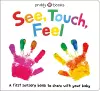 See, Touch, Feel cover