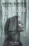 The Lost Witch cover