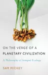 On the Verge of a Planetary Civilization cover