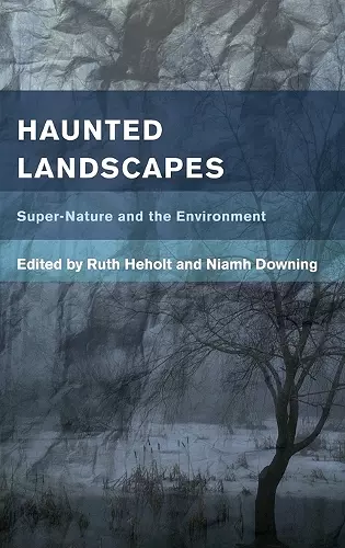 Haunted Landscapes cover