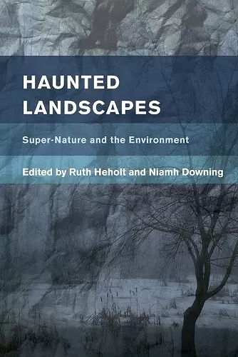 Haunted Landscapes cover