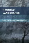 Haunted Landscapes cover