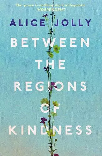 Between the Regions of Kindness cover