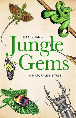 Jungle Gems cover