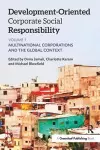 Development-Oriented Corporate Social Responsibility: Volume 1 cover