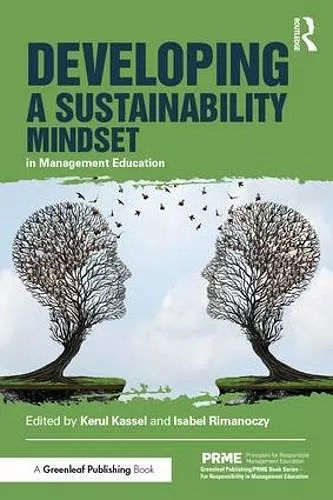 Developing a Sustainability Mindset in Management Education cover