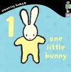 1 Little Bunny cover