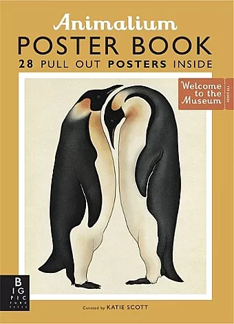 Animalium Poster Book cover