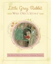 Little Grey Rabbit: Wise Owl's Story cover
