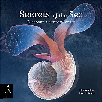 Secrets of the Sea cover