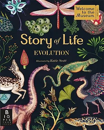 Story of Life: Evolution cover