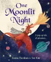 One Moonlit Night cover