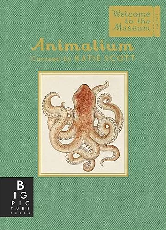 Animalium (Mini Gift Edition) cover