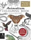 Animalium Colouring Book packaging