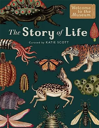 The Story of Life: Evolution (Extended Edition) cover