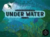 Under Water Activity Book cover