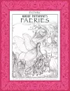 Pictura Prints: Faeries cover