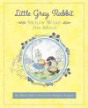 Little Grey Rabbit: Moldy Warp the Mole cover