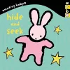 Amazing Baby: Hide And Seek cover