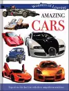 Wonders of Learning: Discover Amazing Cars cover