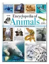 Encyclopedia of Animals cover