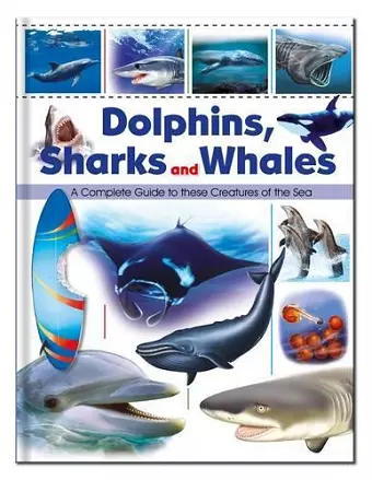 Dolphins, Sharks & Whales cover