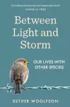 Between Light and Storm cover