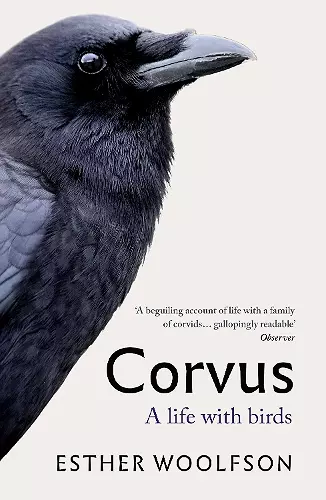 Corvus cover