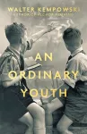 An Ordinary Youth cover