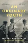 An Ordinary Youth cover