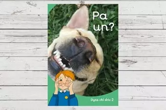 Dyna Chi Dric: Pa Un? cover
