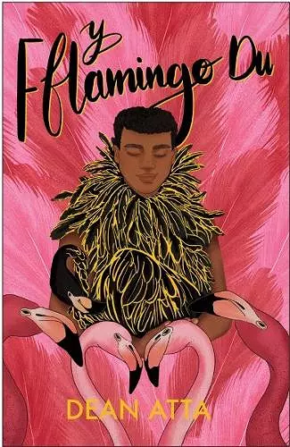 Y Fflamingo Du cover