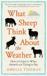 What Sheep Think About the Weather cover