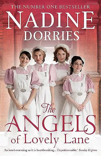 The Angels of Lovely Lane cover