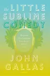 The Little Sublime Comedy cover