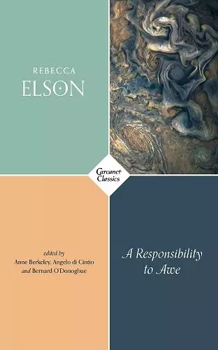 A Responsibility to Awe cover