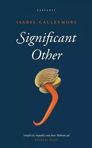 Significant Other cover