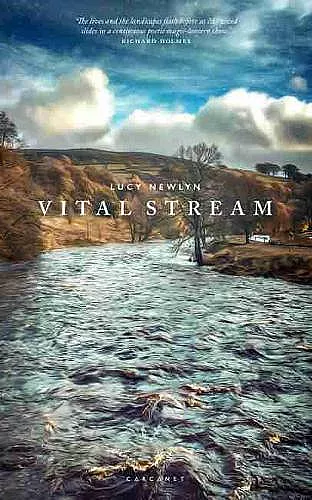 Vital Stream cover