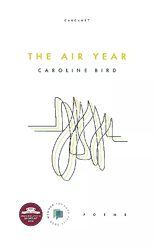 The Air Year cover