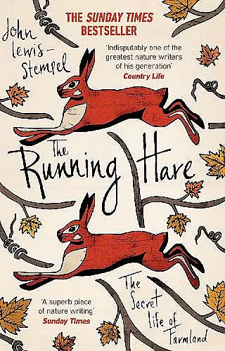 The Running Hare cover