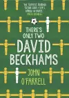 There's Only Two David Beckhams cover