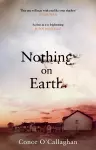 Nothing On Earth cover