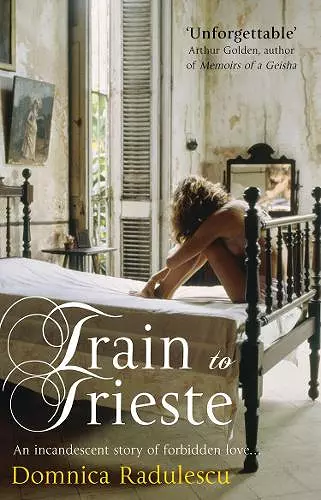 Train to Trieste cover