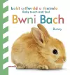 Babi Cyffwrdd a Theimlo: Bwni Bach / Baby Touch and Feel: Bunny cover