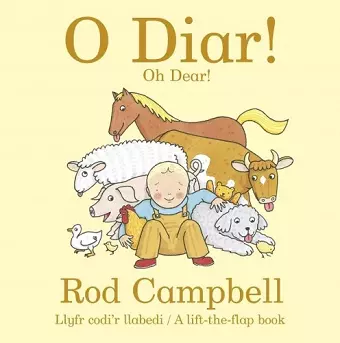 O Diar! Oh Dear! cover