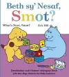 Beth sy' Nesaf, Smot? / What's Next, Smot? cover