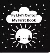 Fy Llyfr Cyntaf / My First Book cover