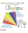 Babi Cyffwrdd a Theimlo: Lliwiau / Baby Touch and Feel: Colours cover