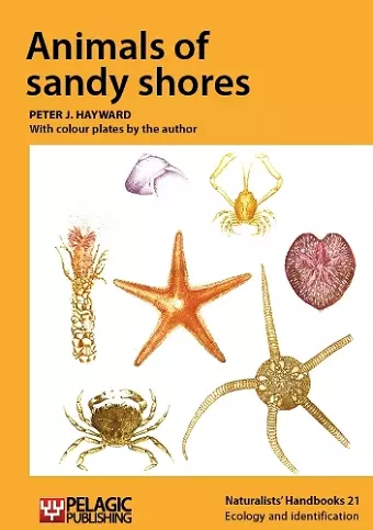 Animals of sandy shores cover