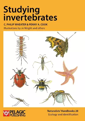 Studying Invertebrates cover